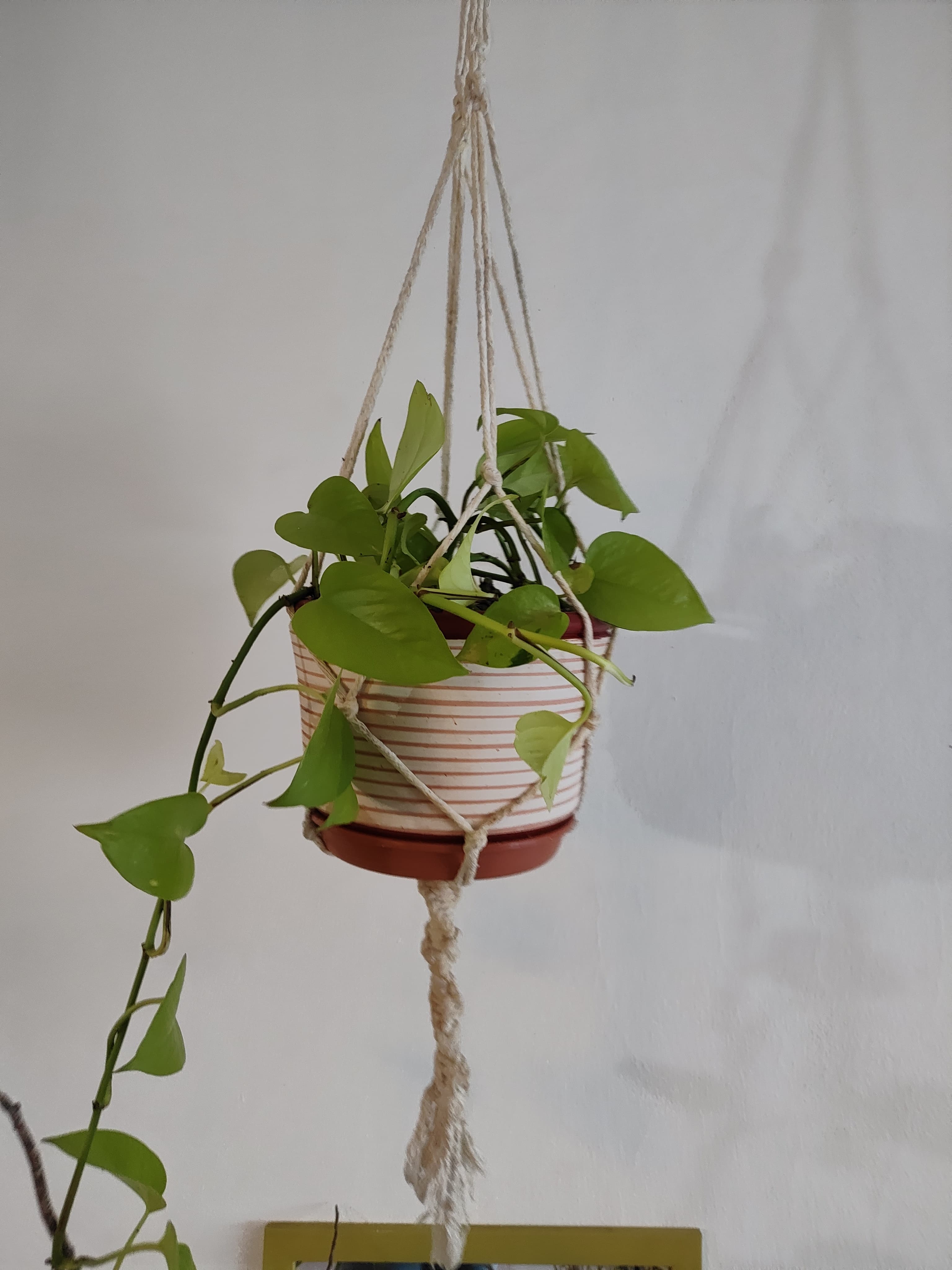 Macetas de barro artesanal