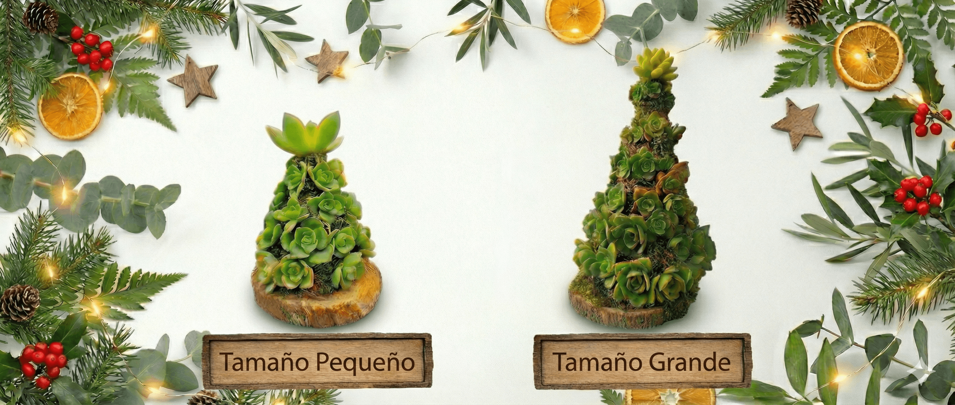 ¡Regalá vida en esta navidad!